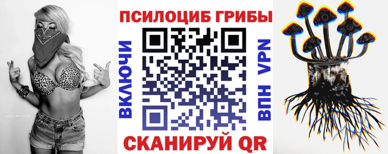Купить Полтавская Псилоцибиновые грибы ЛСД